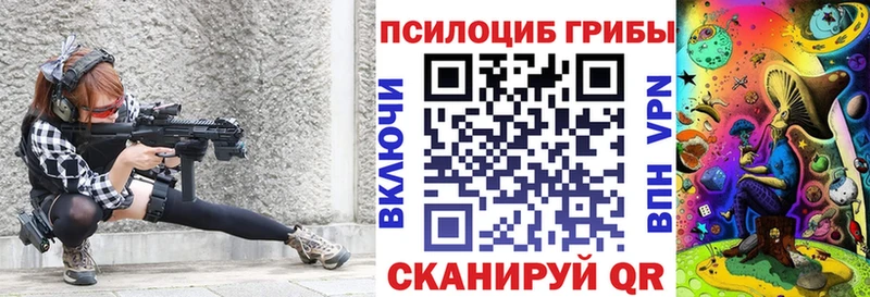 как найти   мега ссылки  Псилоцибиновые грибы Psilocybine cubensis  Туринск 