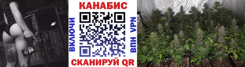 Марихуана VHQ  как найти закладки  Туринск 